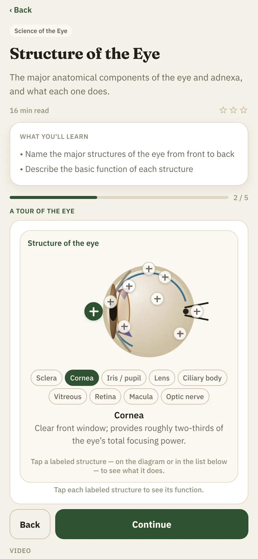 The Structure of the Eye lesson with an interactive eye diagram and tappable labels for the sclera, cornea, iris, lens and more